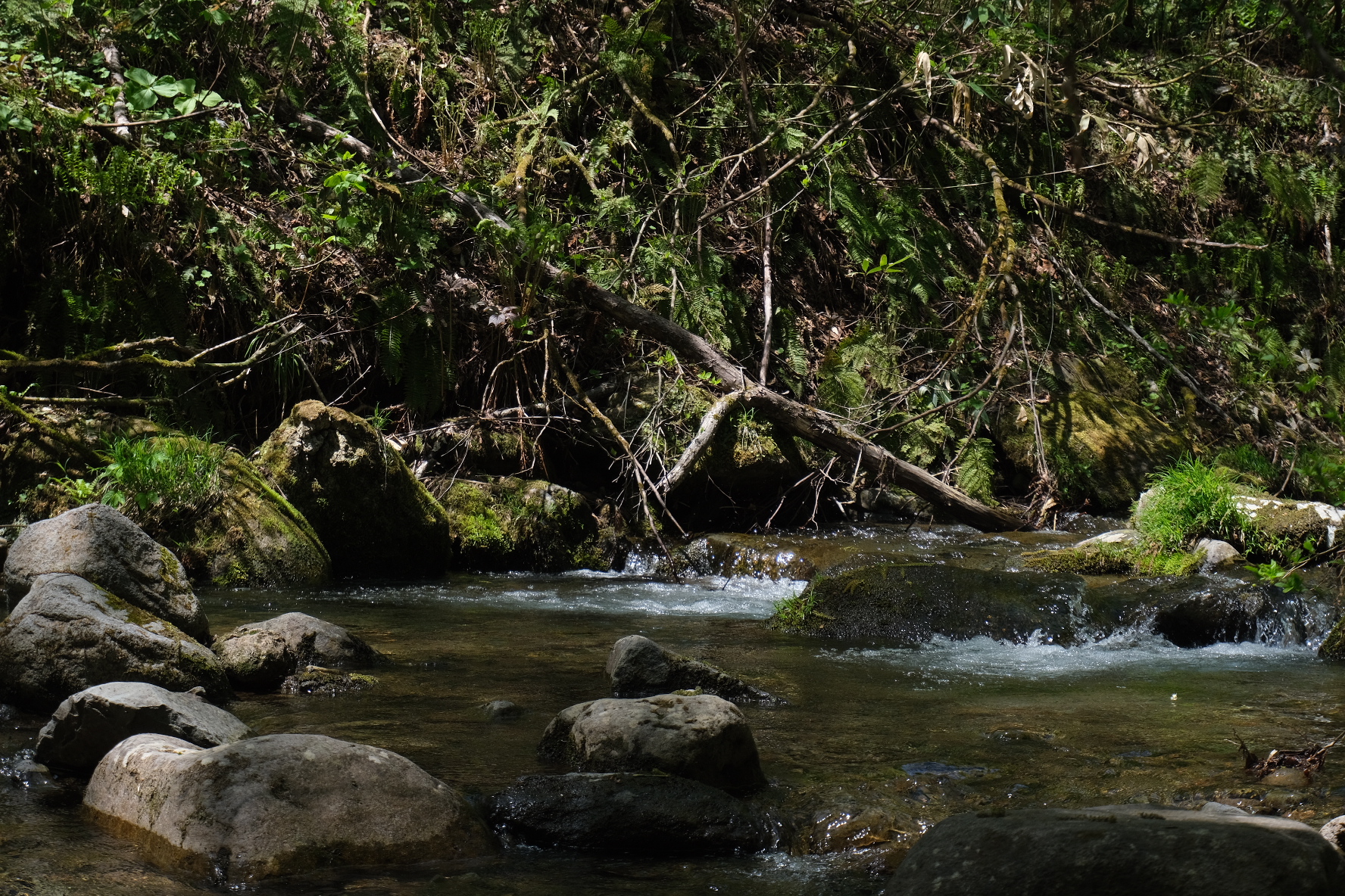 5C6593C6-72D5-4E7D-938D-F0D07F58C678-23758-000003785E459E2B