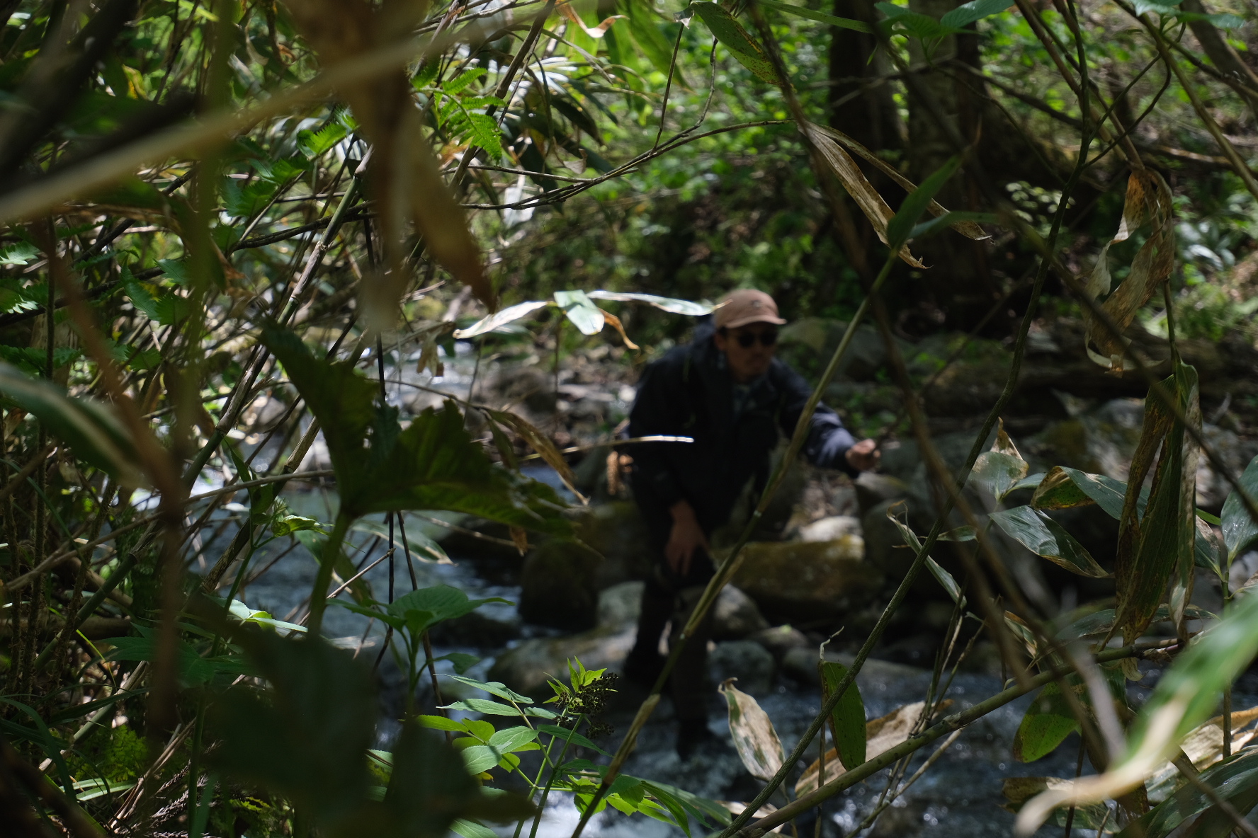 D9FB2DB8-4881-4FF7-88AC-1F94D0BC7C81-23758-000003758C7162F4